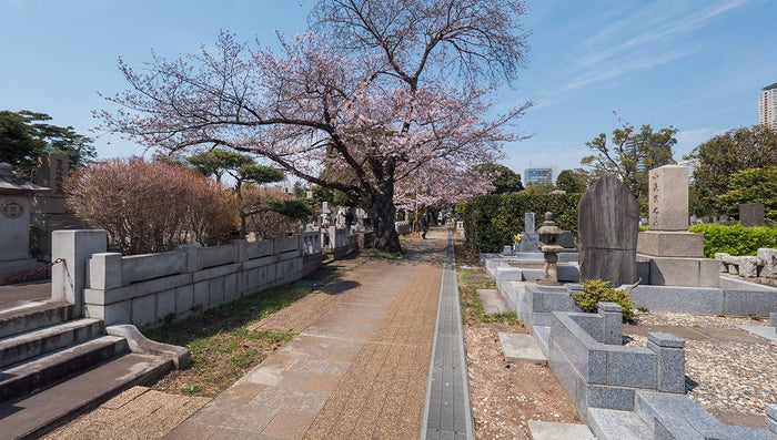 お墓(墓地)の種類に関する基礎知識