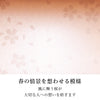 現代仏壇 花桜(はなざくら) 高さ39cm 特徴9