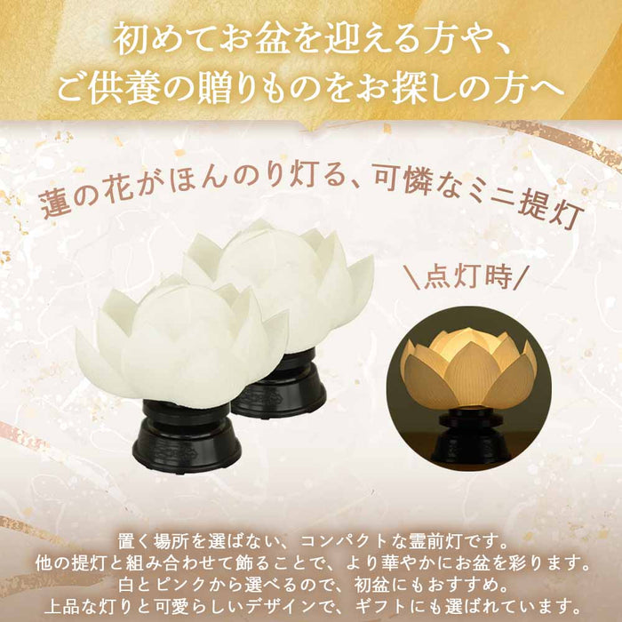 霊前灯 華蓮 総白 対