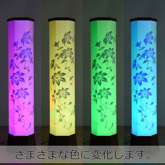 新型 美六 鉄線花 大
