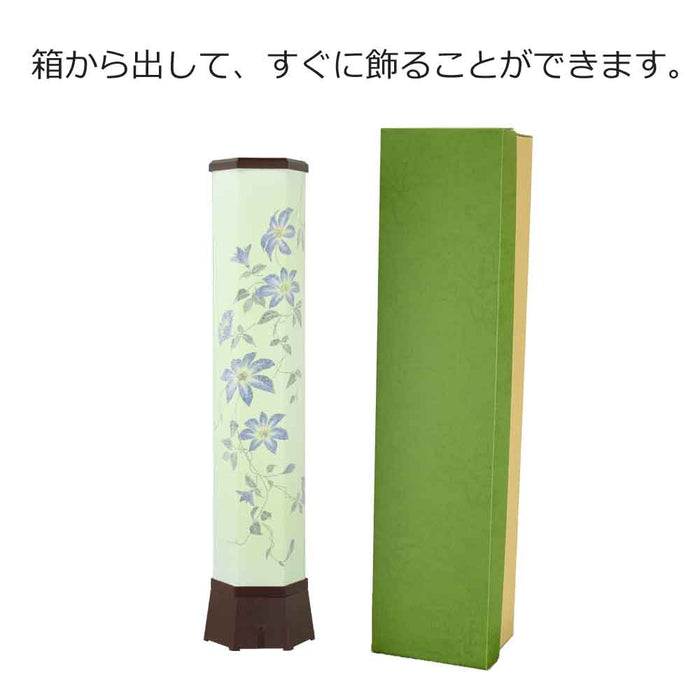 新型 美六 鉄線花 大