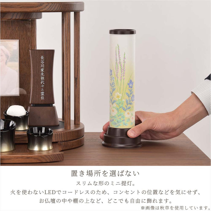 【WEB限定】新型 月 コードレス