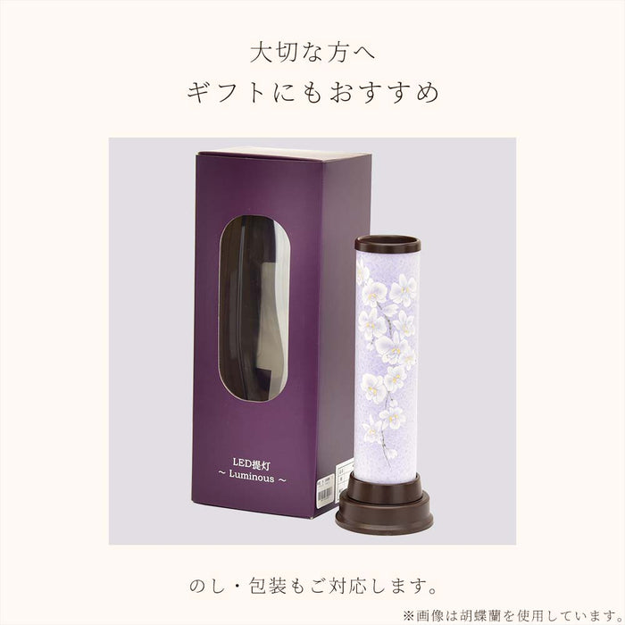 【WEB限定】新型 月 コードレス
