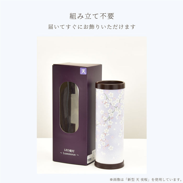 【WEB限定】新型 天 萩桔梗 コードレス