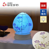 【WEB限定】新型 Lien (リアン) ホワイト 桔梗
