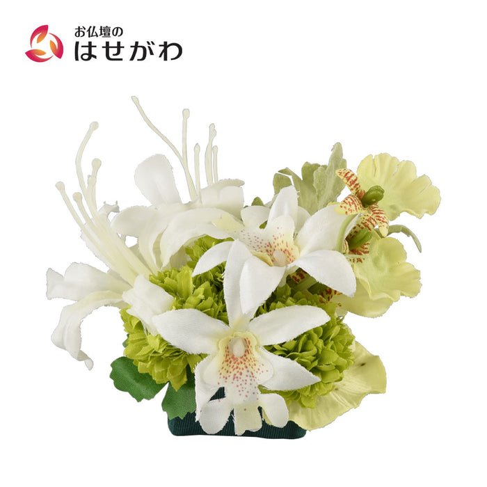 添花 (ソエカ) ネリネ グリーン