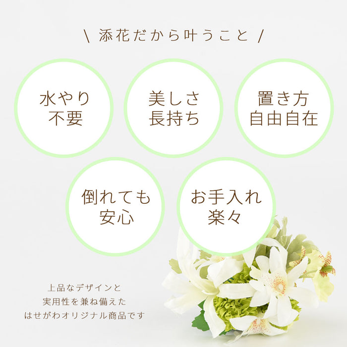 添花 (ソエカ) ネリネ グリーン