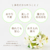 添花 (ソエカ) ネリネ グリーン
