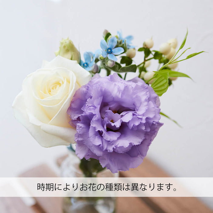 お供え物・お飾り 仏花の定期便(週1回・隔週プラン) 5本セット 特徴 5