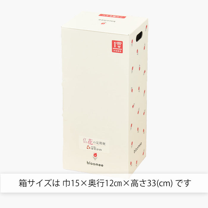 お供え物・お飾り 仏花の定期便(月1回プラン) 5本セット 特徴 9