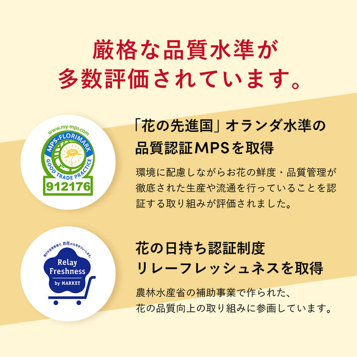 お供え物・お飾り 仏花の定期便(週1回・隔週プラン) 5本セット 特徴 14
