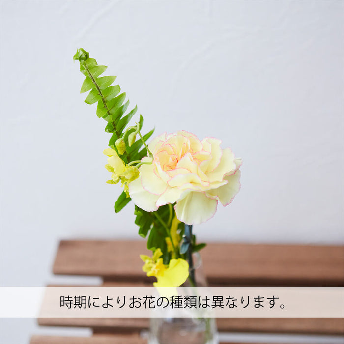 お供え物・お飾り 仏花の定期便(週1回・隔週プラン) 3本セット 特徴 5