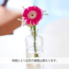 お供え物・お飾り 仏花の定期便(1回のみお試しプラン) 3本セット 特徴 8