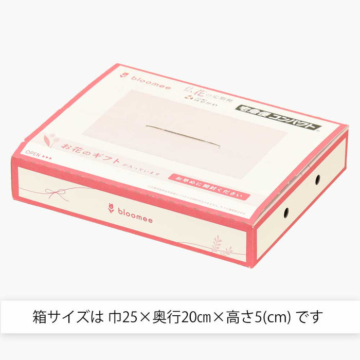 お供え物・お飾り 仏花の定期便(1回のみお試しプラン) 3本セット 特徴 10
