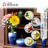 仏花の定期便(月1回プラン) 5本セット