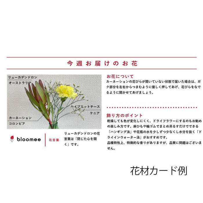 お供え物・お飾り 仏花の定期便(1回のみお試しプラン) 3本セット 特徴 12