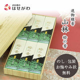 進物線香 山林(桧の香) 短6把入