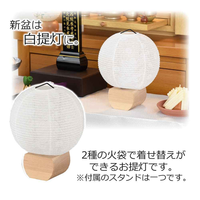新型 円想 白紋天・ネモフィラ