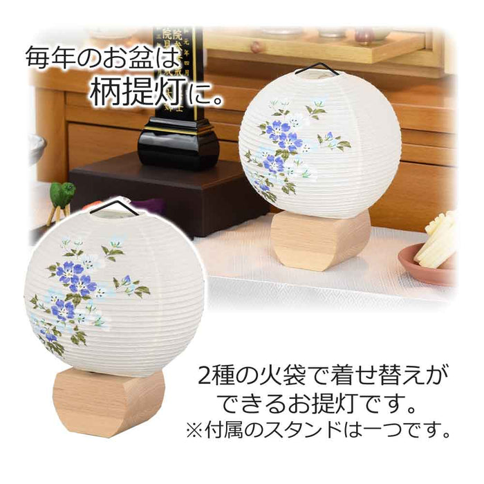 新型 円想 白紋天・ネモフィラ