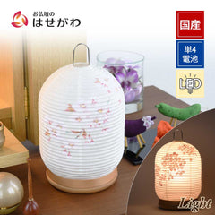 新型 ほのか 華5号 桜