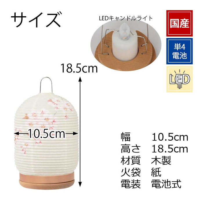 新型 ほのか 華5号 桜