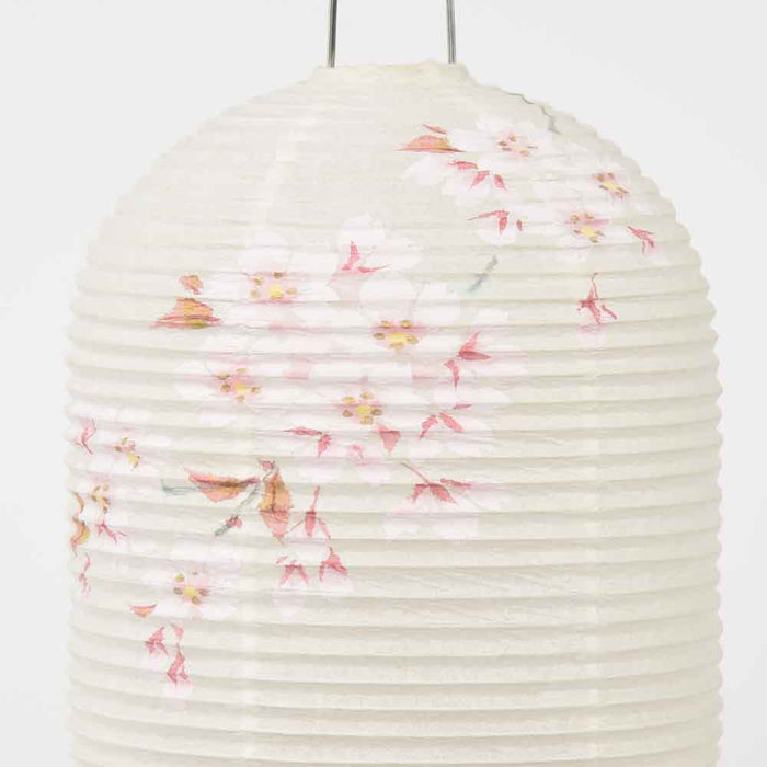 新型 ほのか 華5号 桜