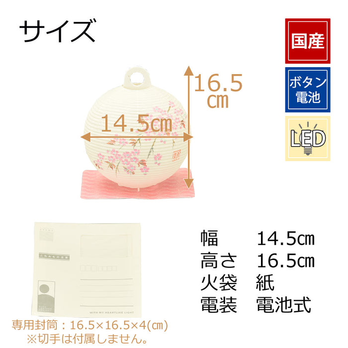 新型 レター提灯 桜