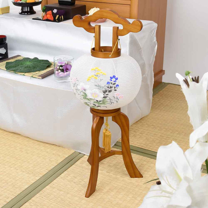 姫行灯 8号 芙蓉に女郎花