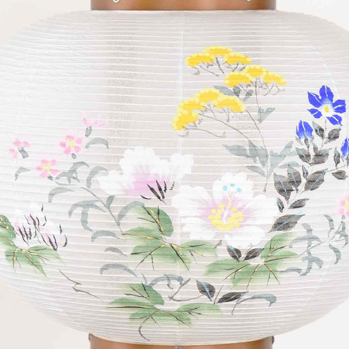 姫行灯 8号 芙蓉に女郎花