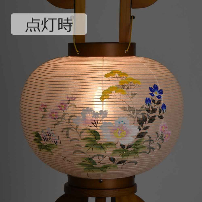 姫行灯 8号 芙蓉に女郎花
