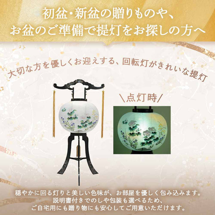 回転 11号 菊蒔絵