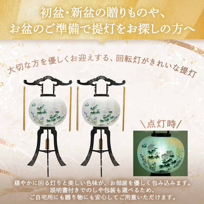 回転 11号 菊蒔絵  2個セット