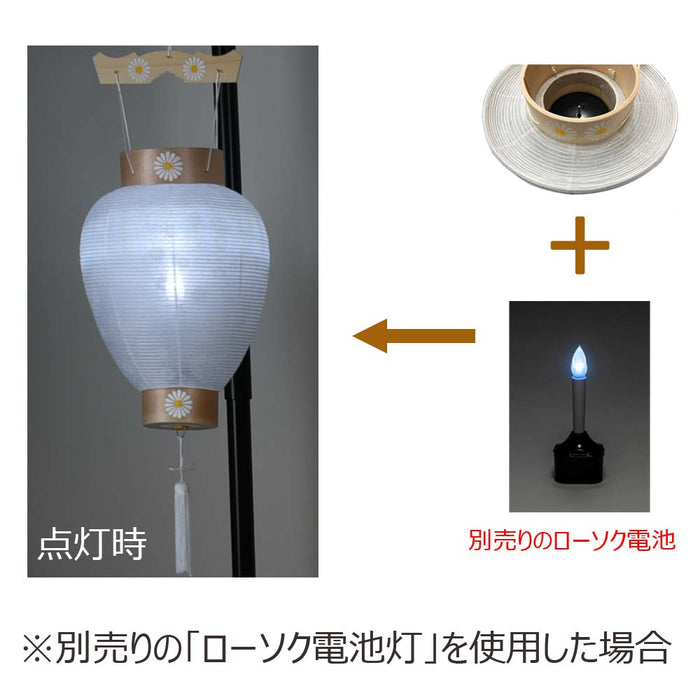 盆提灯 御所 八寸 白紋天柾 特徴 6