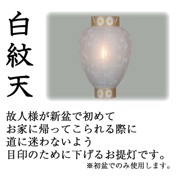 御所 八寸 白紋天柾 ローソク電池灯