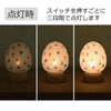 盆提灯 ペット提灯 うさたま 特徴 6