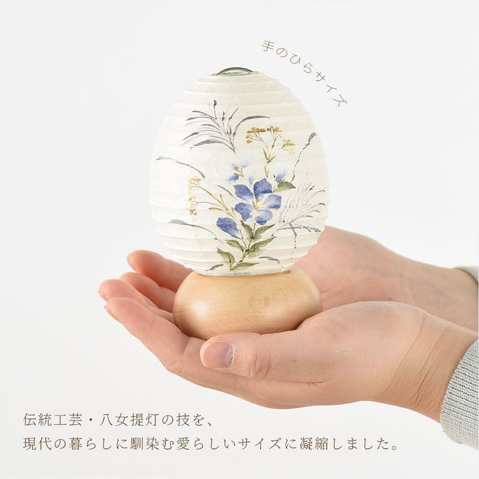 新型 ココランミニミニ 藍桔梗