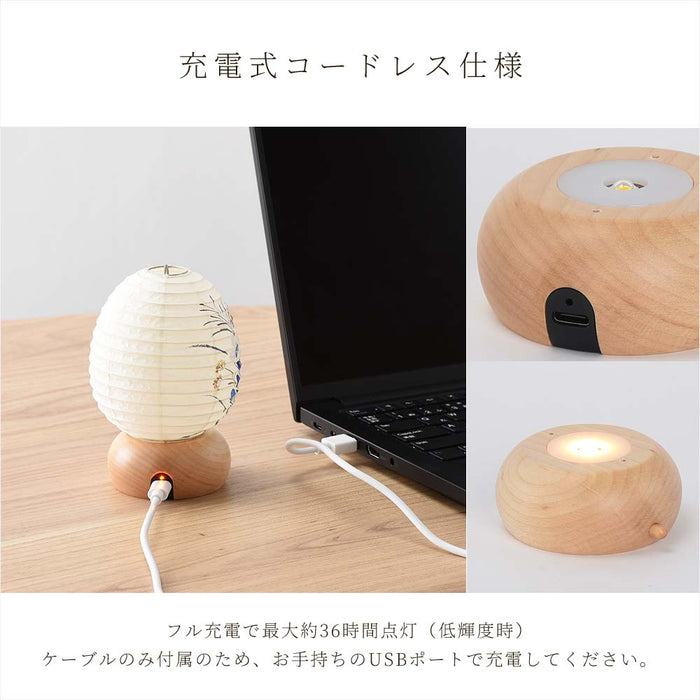 新型 ココランミニミニ 藍桔梗