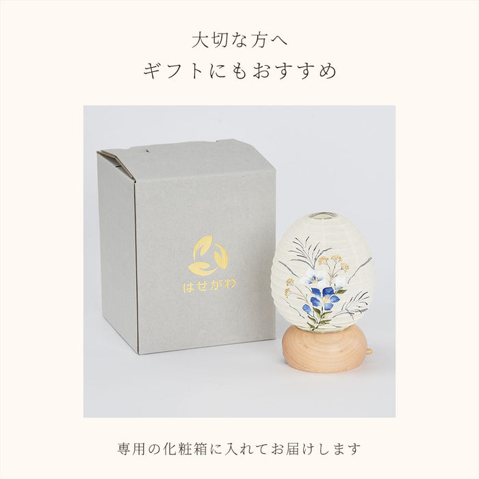 新型 ココランミニミニ 藍桔梗