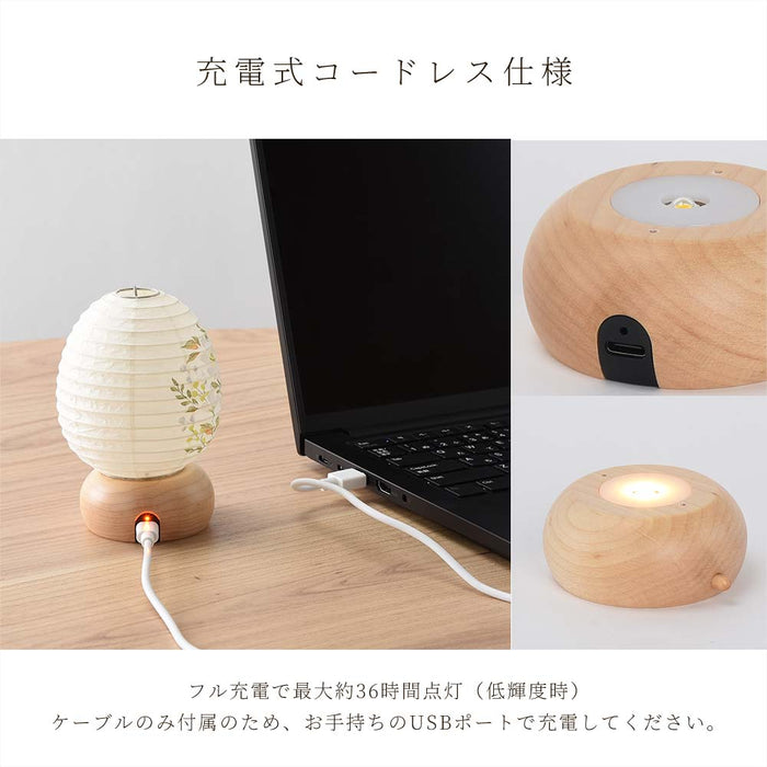 新型 ココランミニミニ 玉簾