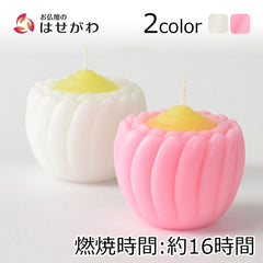 ローソク ブロンマ
