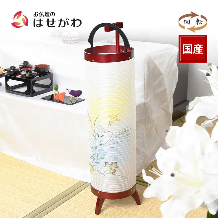 新型 立花 5号 桜調 桔梗ボカシ