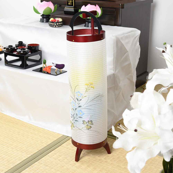 新型 立花 5号 桜調 桔梗ボカシ