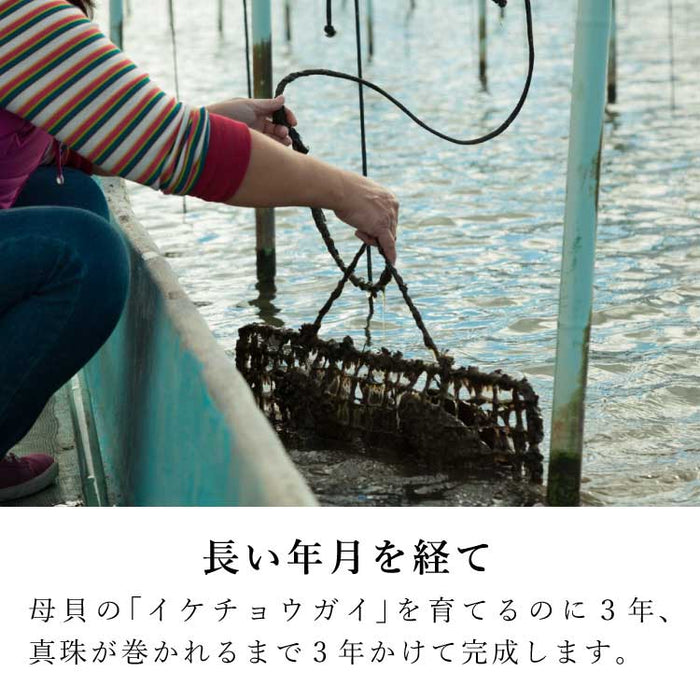 位牌 過去帳 リーヴァ 総丈11cm 特徴 7