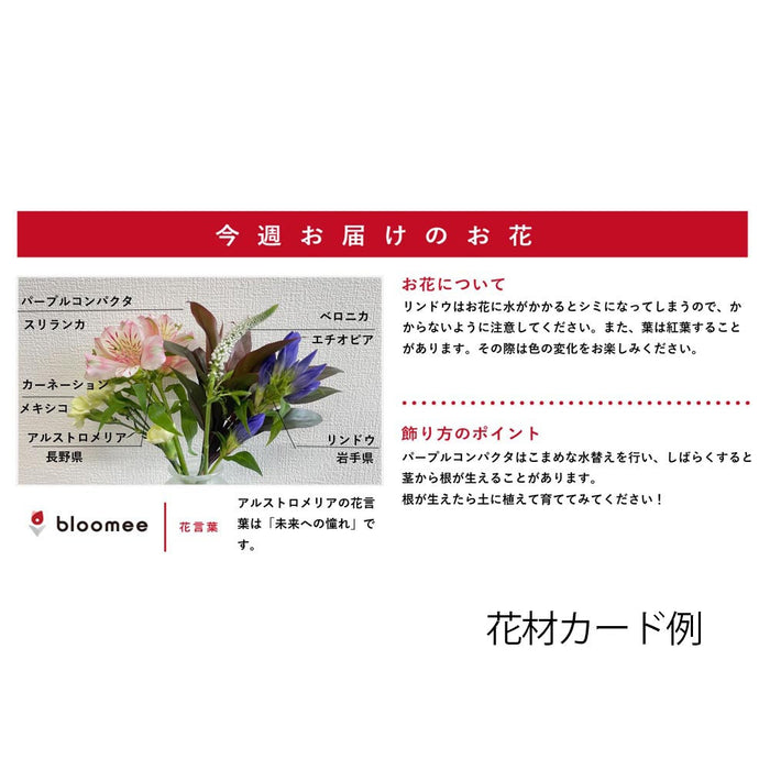 お供え物・お飾り 仏花の定期便(週1回・隔週プラン) 5本セット 特徴 11