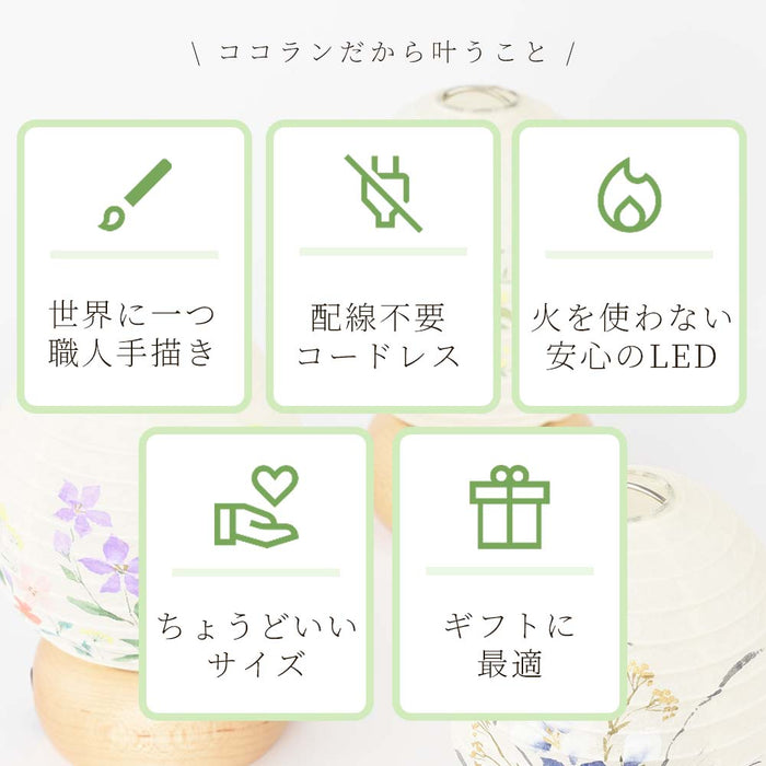 新型 ココランミニミニ 玉簾
