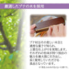 位牌 過去帳 心音 CONOTO ライトブラウン色 特徴 10