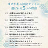 【WEB限定】初盆セット ベーシックセット 5-A