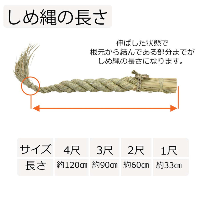 しめ縄 ごぼう〆 1尺