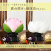 霊前灯 華蓮 ピンク 対