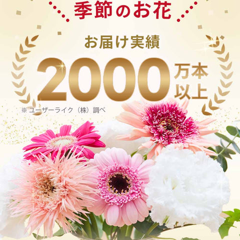 お供え物・お飾り 仏花の定期便(週1回・隔週プラン) 5本セット 特徴 12
